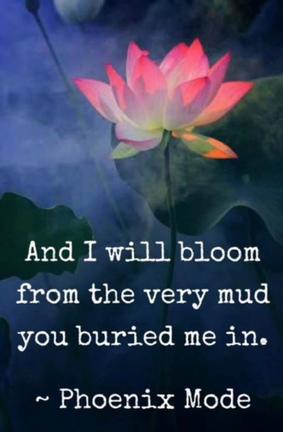 Bloom and Grow